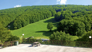 HOTEL TI BIONDA SUISSE immagine n.2