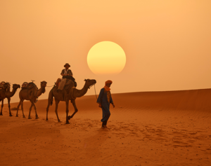 TOUR GRANDE SUD & KASBAH immagine generale