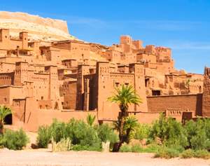 TOUR GRANDE SUD & KASBAH immagine n.3