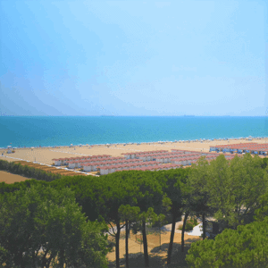 HOTEL & RESIDENCE VENEZIA 2000 immagine generale