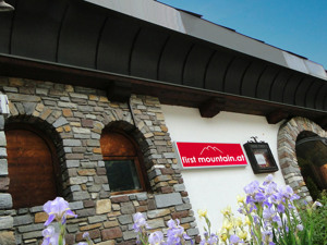 FIRST MOUNTAIN HOTEL ZILLERTAL immagine n.3