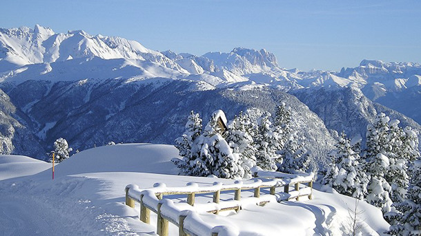 HOTEL REGINA DELLE DOLOMITI immagine generale