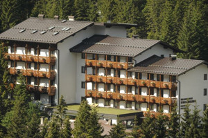 RESIDENCE EDELWEISS immagine generale