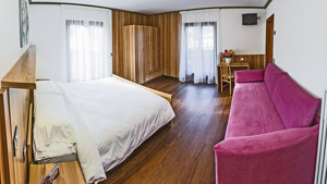 HOTEL VILLA LUCIN immagine n.3