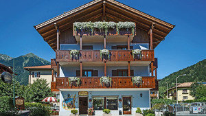 HOTEL VILLA LUCIN immagine n.2