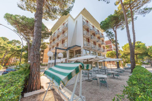 HOTEL HAPPY - MILANO MARITTIMA immagine generale