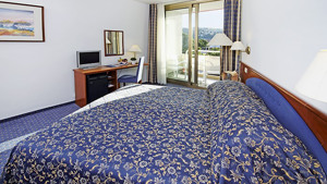 HOTEL HISTRION immagine n.3
