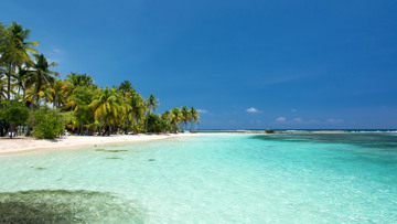 COSTA FORTUNA