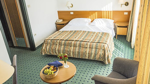 HOTEL VILE PARK immagine n.3