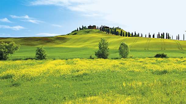 EDEN PARK TUSCANY RESORT immagine generale