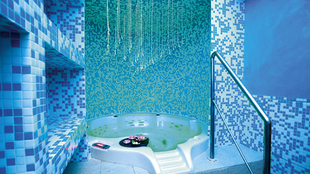 HOTEL ALEXANDER PALACE immagine generale