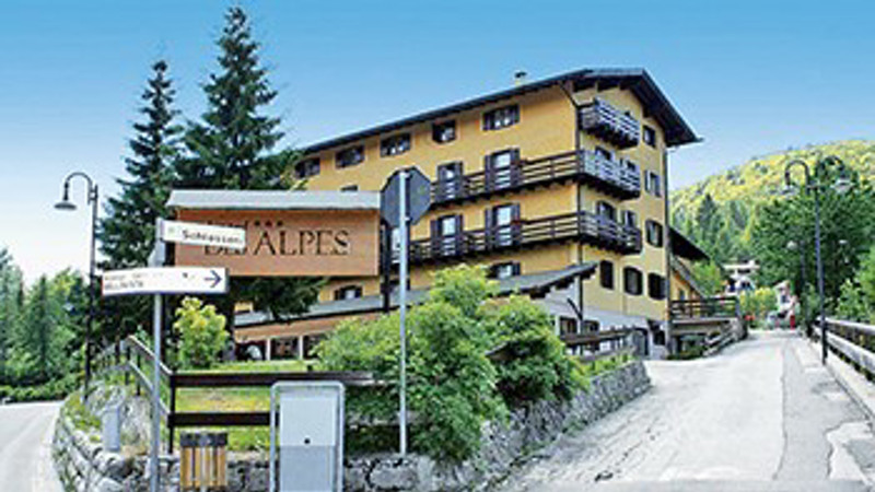 HOTEL DES ALPES