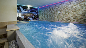 HOTEL OLYMPIC REGINA immagine n.2