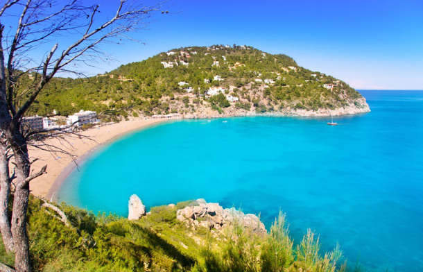 LABRANDA CALETA DORADA immagine generale