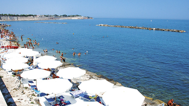 NICOTEL BISCEGLIE immagine generale