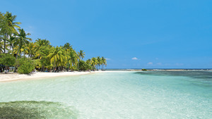 COSTA FASCINOSA immagine n.2
