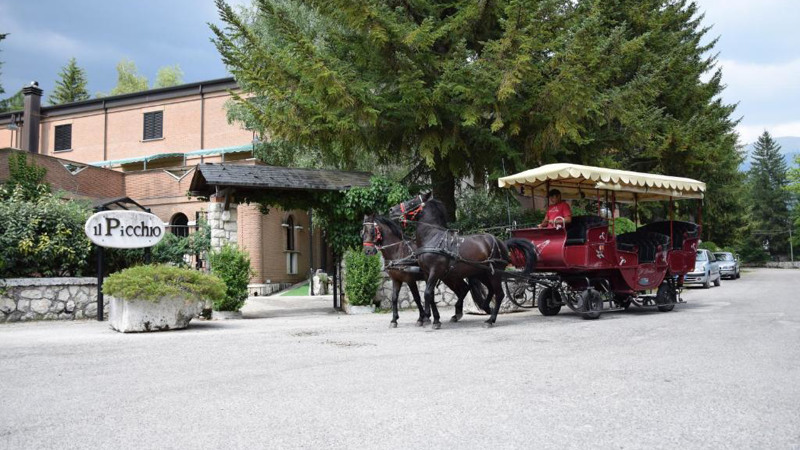 LH ALBERGO IL PICCHIO