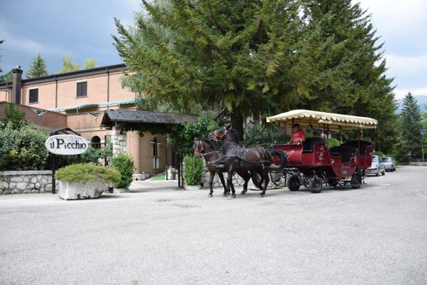 LH ALBERGO IL PICCHIO immagine generale