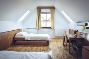 POHORJE VILLAGE WELLBEING RESORT immagine n.3