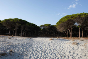 SELEMA CAMPING immagine n.2