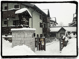 RESIDENCE ROSA DELLE DOLOMITI immagine n.2