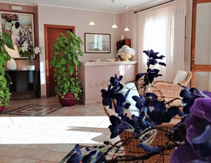 HOTEL SIRIO immagine n.2