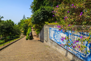 TOUR MADEIRA E IL FESTIVAL DEI FIORI immagine n.3