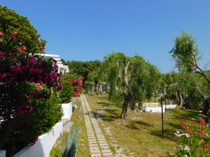 FRONTEMARE HOTEL VILLAGE & SPA immagine n.2