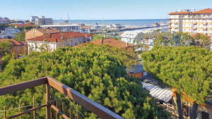 HOTEL RITA immagine n.2