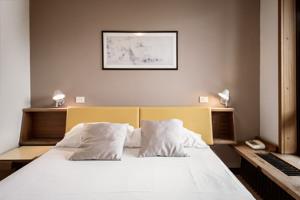 HOTEL BOITE immagine n.2