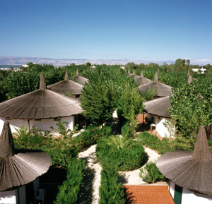 FORMULA ROULETTE PUGLIA BASILICATA 3*/4* immagine n.3