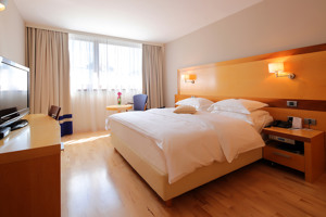 HOTEL LOVEC immagine n.2