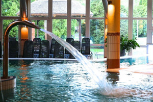 LOTUS THERME HOTEL & SPA immagine n.3