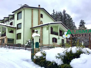 ALISMA HOTEL immagine n.2