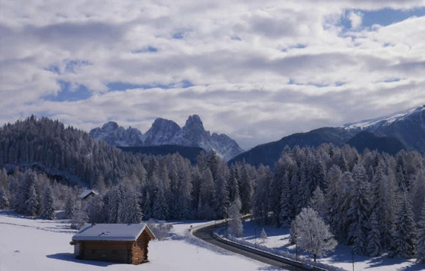 STELLA ALPINA & PARK HOTEL SANCELSO immagine generale