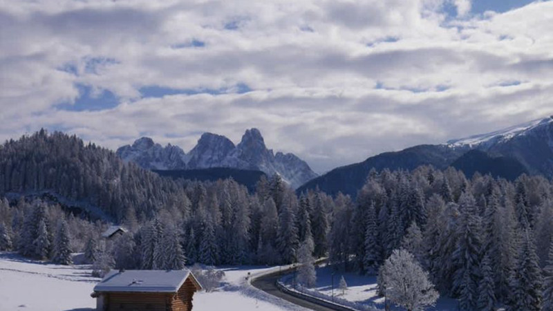 STELLA ALPINA & PARK HOTEL SANCELSO