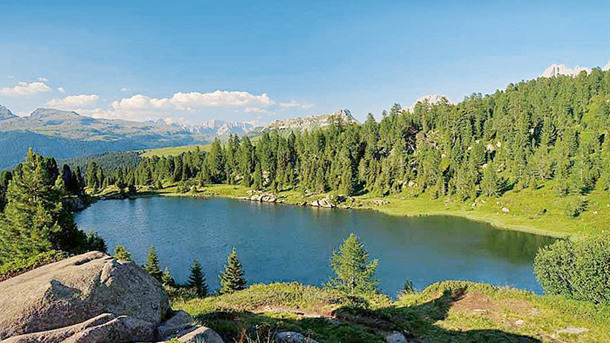 VILLA DI BOSCO SPA RESORT immagine generale
