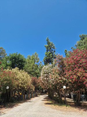CAMPING PITAGORA immagine n.3