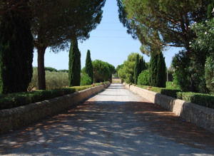 BORGHETTO BEACH CLUB RESORT immagine n.3