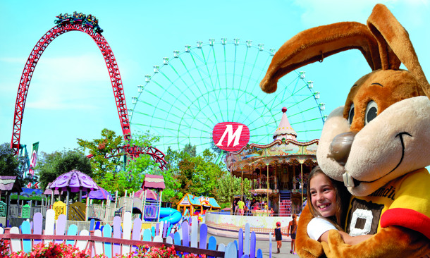 HOTEL PLAYA immagine generale