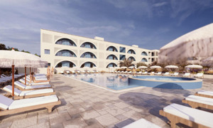 NINFE SARACENE immagine n.2