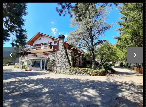 HOTEL ORSO BIANCO immagine generale