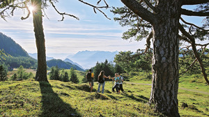 KAISERBLICK immagine n.2