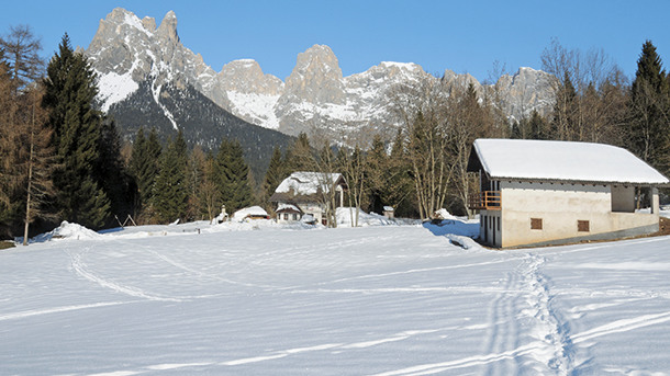 FAMILY HOTEL LA PERLA immagine generale