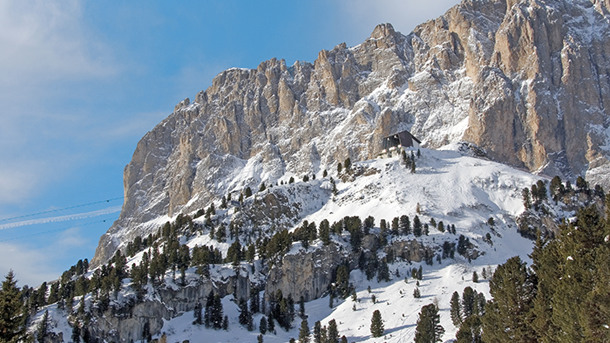 HOTEL MONZONI immagine generale