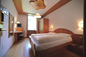 HOTEL VIOZ immagine n.2