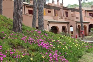 RESIDENCE I TUSCI - PUNTONE immagine n.3