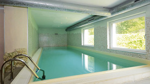 PARK HOTEL AVISIO immagine n.3