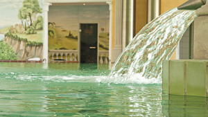 HOTEL BIRKENHOF THERME immagine n.2