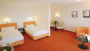 HOTEL BIRKENHOF THERME immagine n.3
